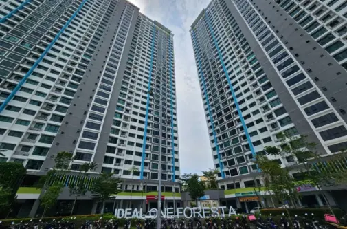 One Foresta 2.jpg